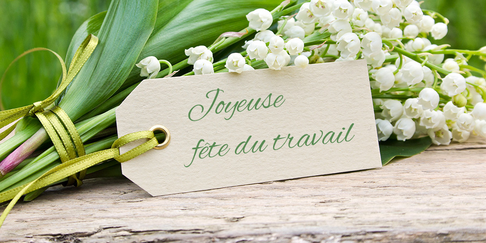 Joyeuse fête du travail 🩺🐾