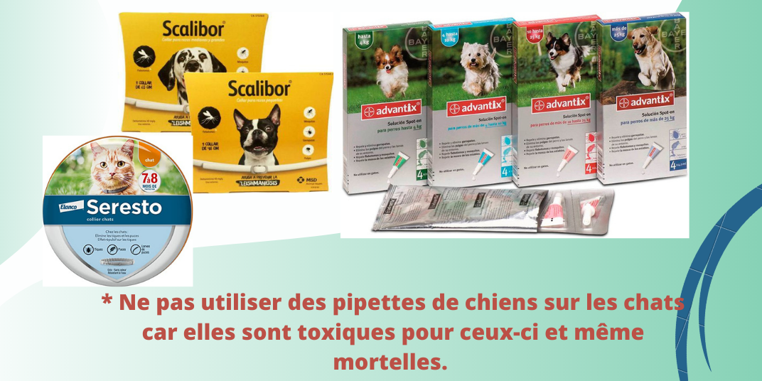 Prévention contre la LEISHMANIOSE