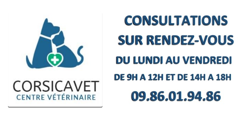 Consultations sur RDV