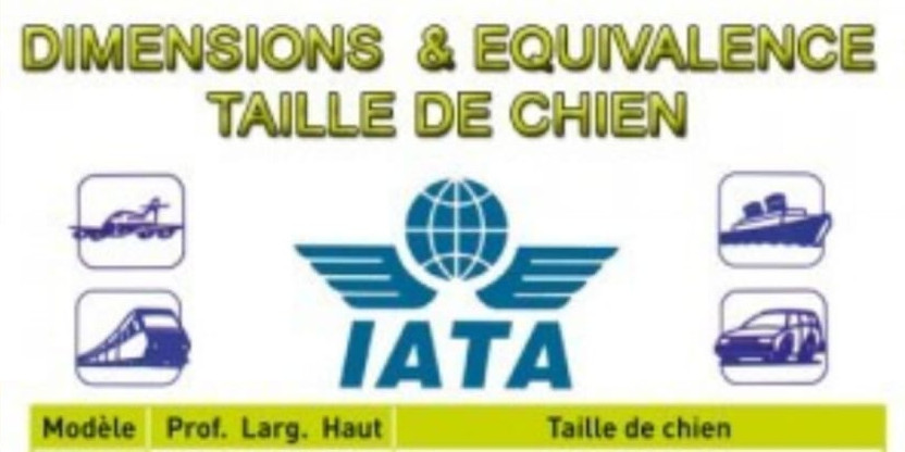 Comment choisir la cage de transport de notre animal ? ✈️🚢🚂🚙💨💨💨