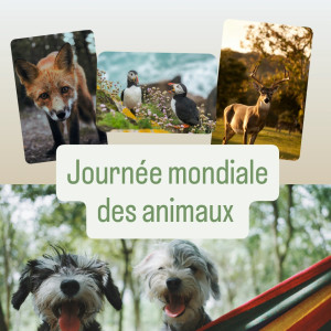 Journée mondiale des animaux