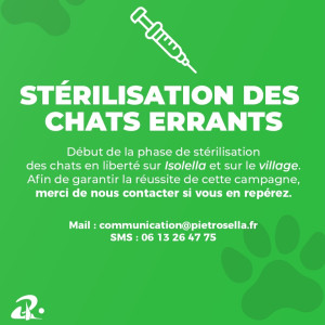 ✂️ Campagne stérilisation 2025