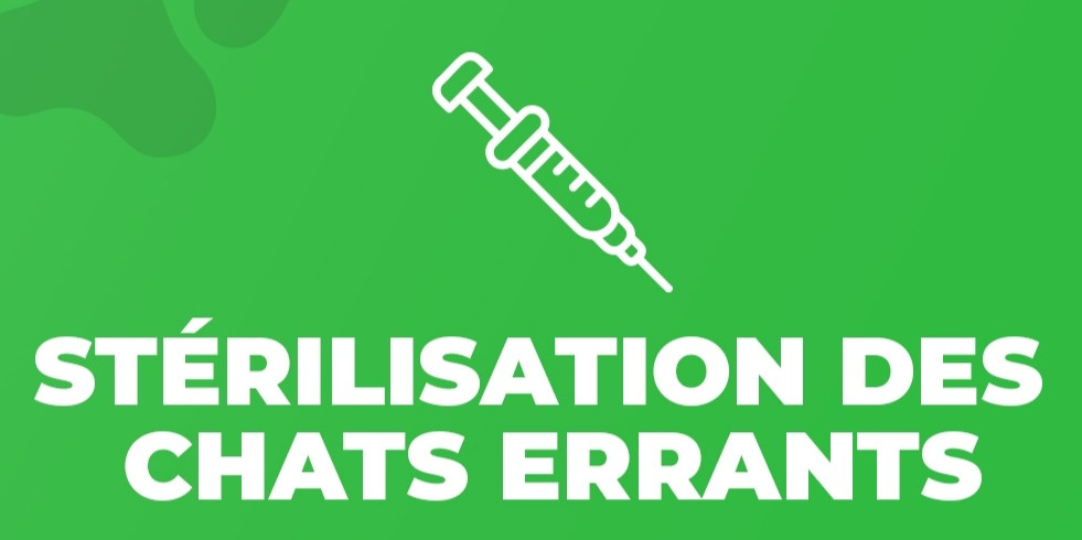 ✂️ Campagne stérilisation 2025