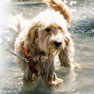 🥵 Le coup de chaleur... Une vrai urgence vétérinaire 🚑🩺🐾