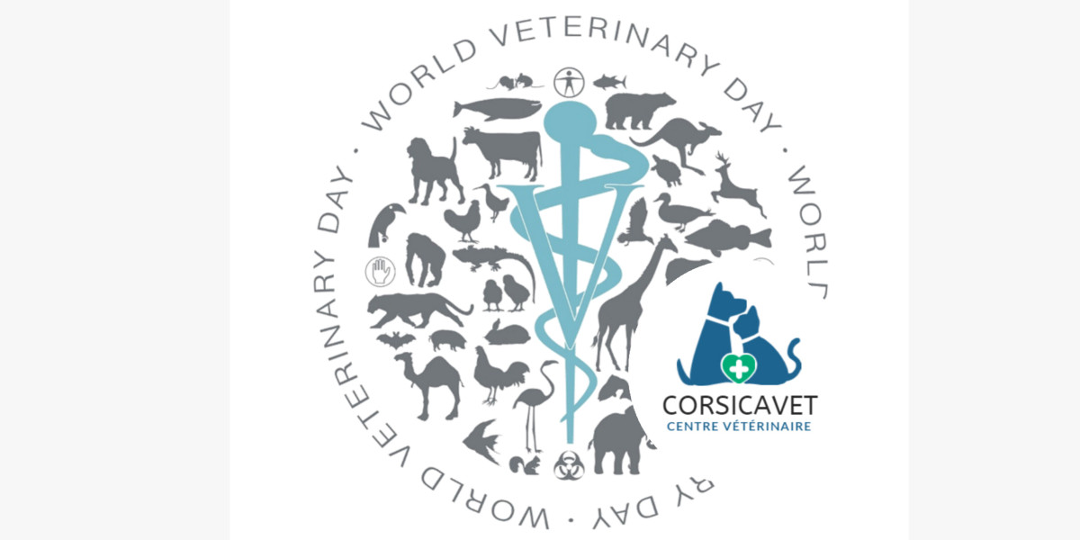 World Veterinary Day 🐾🩺