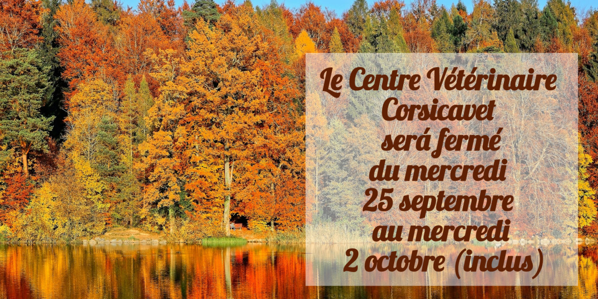 Vacances