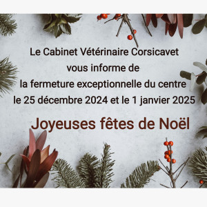 Joyeuses fêtes de Noël