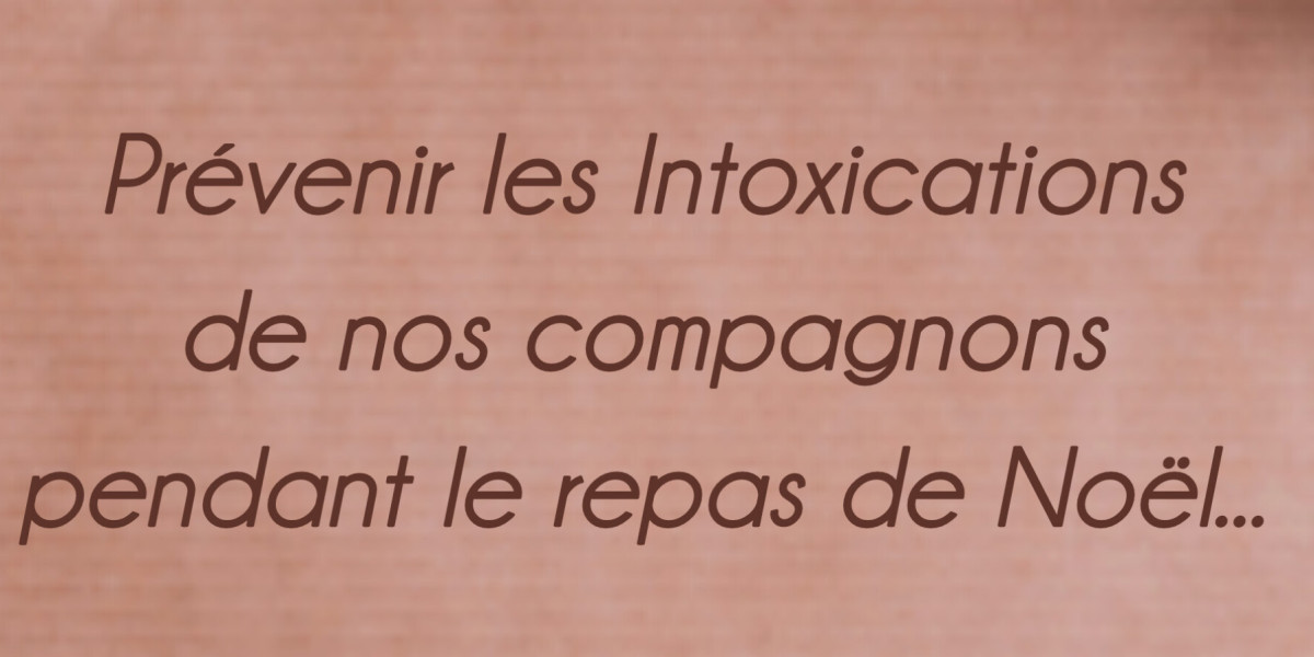 Toxicité en Noël