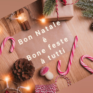 Toxicité en Noël