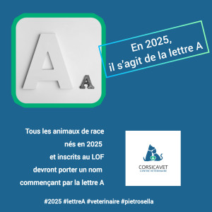 Le Saviez-vous ?