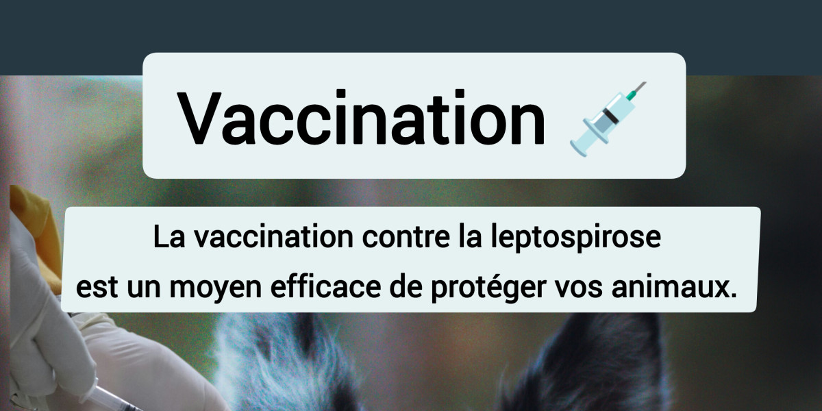 🦠 Leptospirose