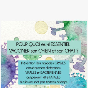 💉 La vaccination