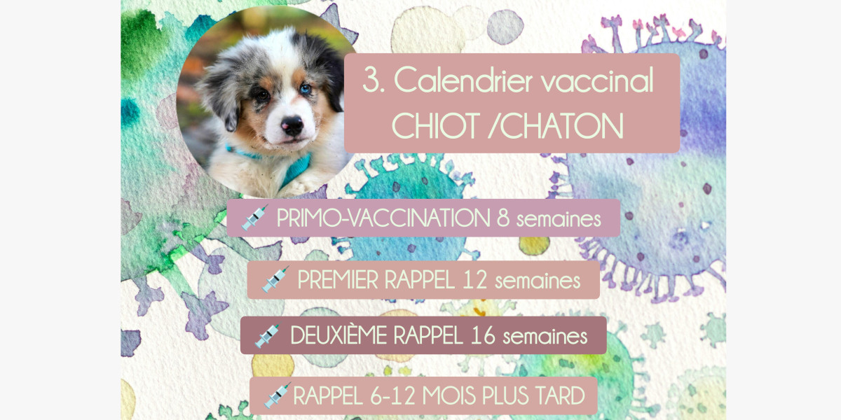 💉 Booster la vaccination
