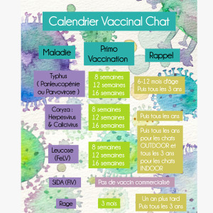 💉 Calendrier vaccinal chat
