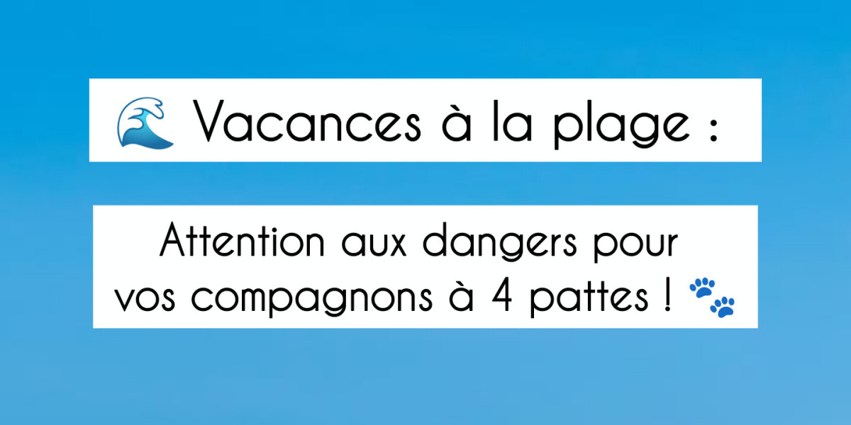 🏖️ La plage