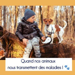 📢 Les Zoonoses