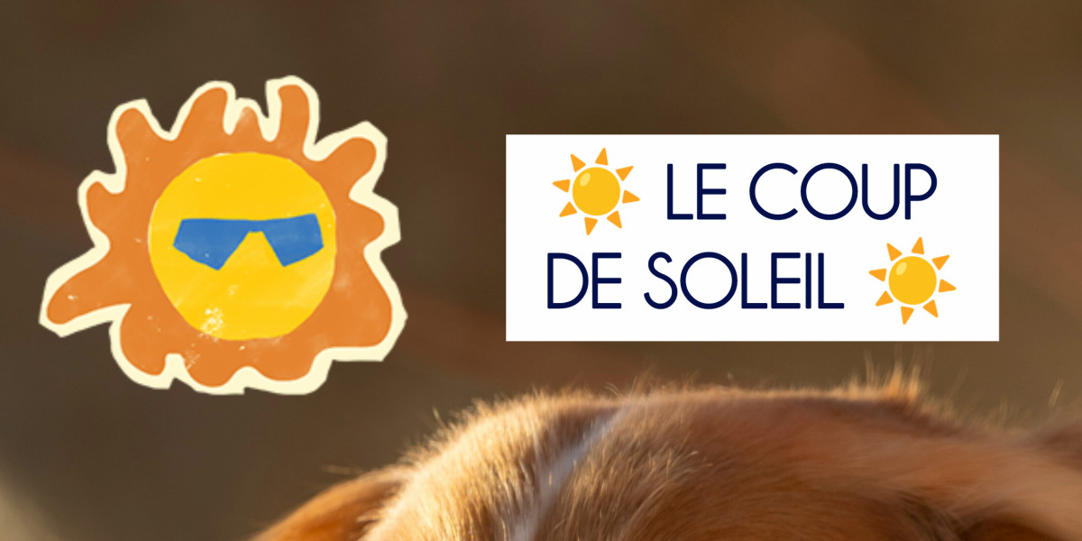 ☀️ Le coup de soleil ☀️