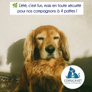 ☀️ Le coup de soleil ☀️