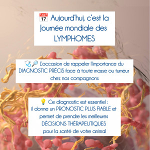 🔎🩺Dépistage tumorale