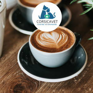 🍫☕ Journée Internationale du chocolat et du café