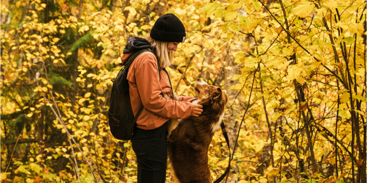 🍂🍁 Les dangers de l'automne 🍁🍂