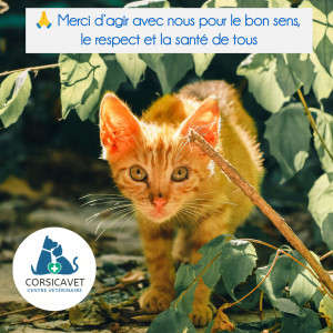 🌿 Journée du Bon sens🌿