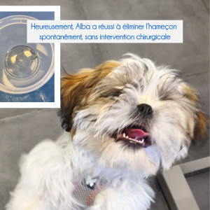 🩻 Journée internationale de la radiologie...