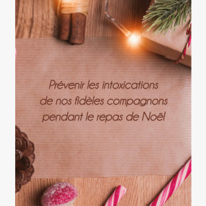 ⚠️🎄🎀Attention aux dangers pendant les fêtes🎀🎁⚠️
