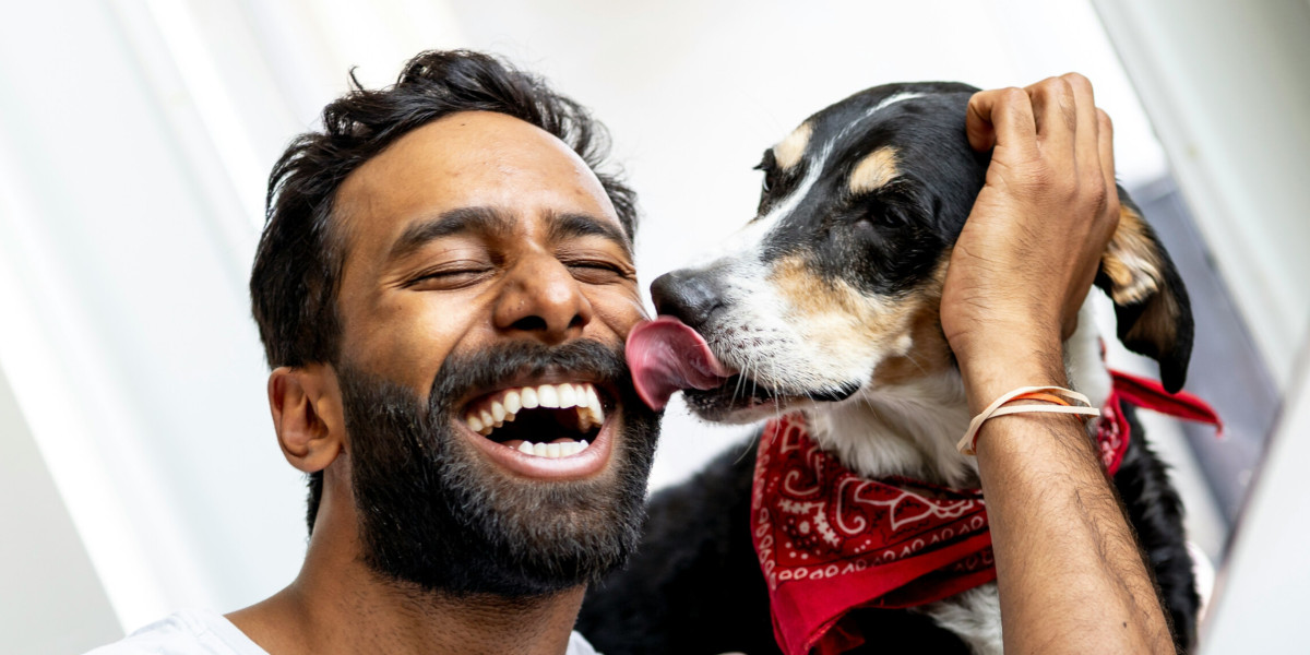 🐾 Tout savoir sur l'Identification des chiens et chats 🗂️