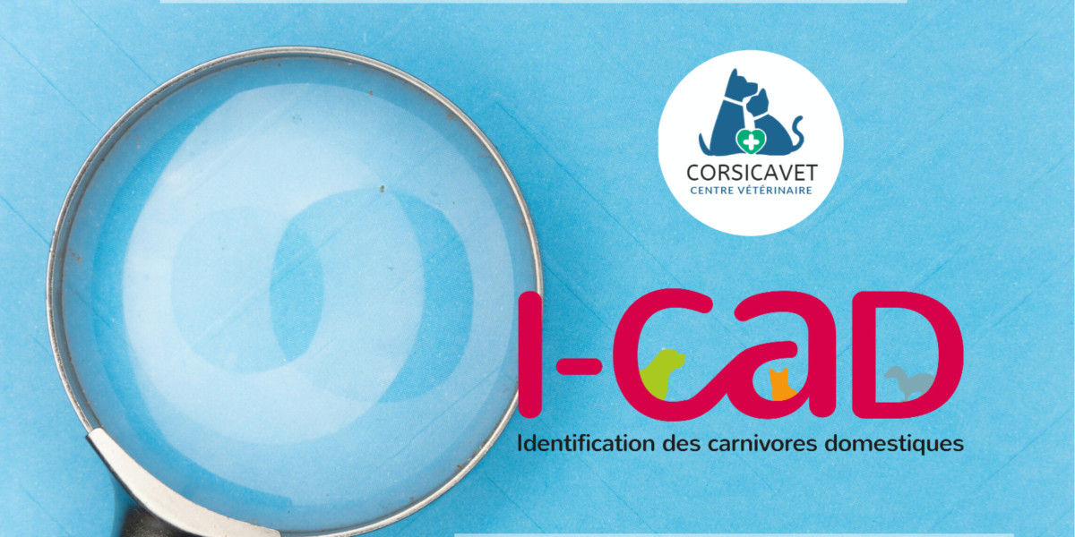 🐾 Actualiser les coordonnées sur I-CAD 🗂️