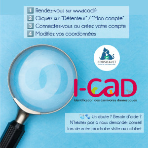 🐾 Actualiser les coordonnées sur I-CAD 🗂️
