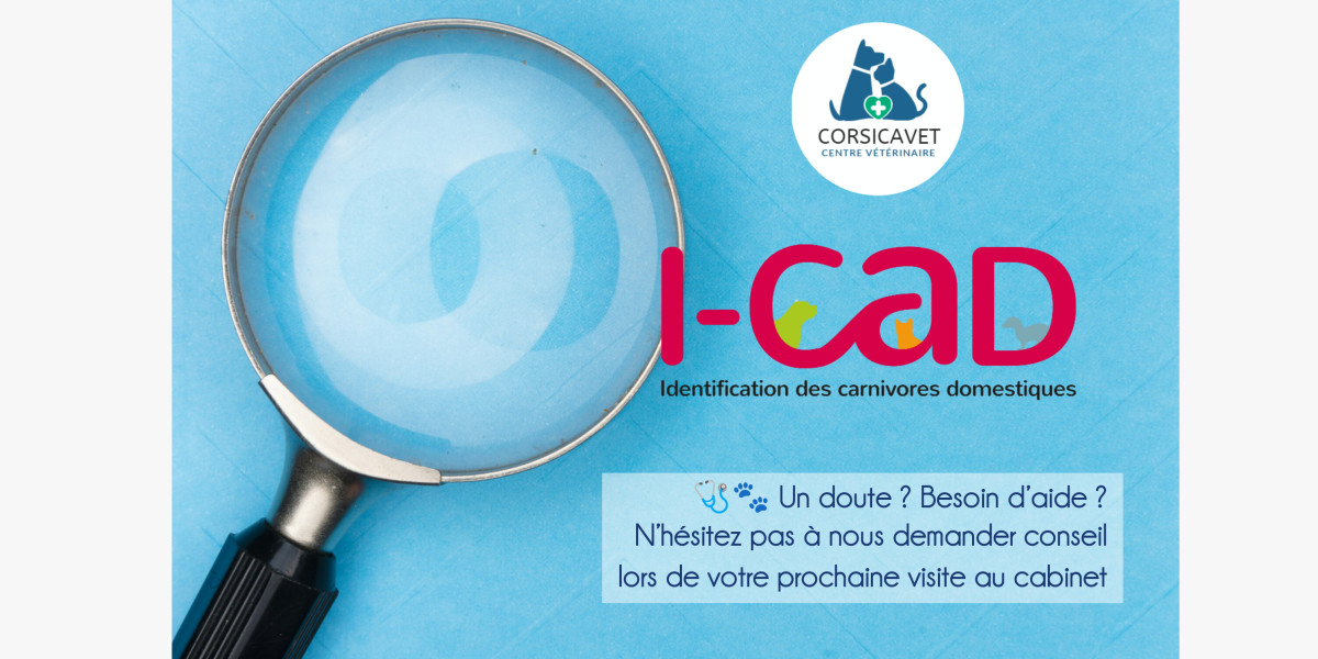 🐾 Changer l'adresse temporaire sur I-CAD 🗂️