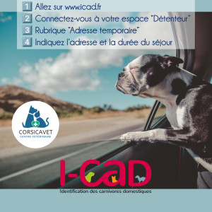 🐾 Changer l'adresse temporaire sur I-CAD 🗂️