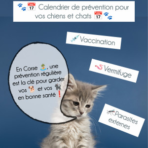 🐾 Calendrier de prévention 📆