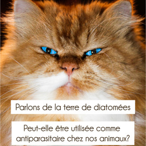 🐾 Terre de diatomée 🪱