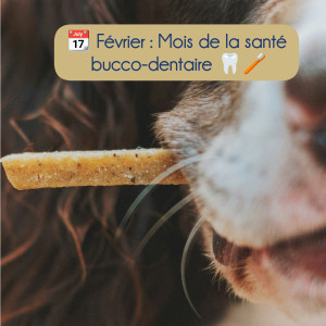 🐾 Santé bucco-dentaire 🩺 🦷