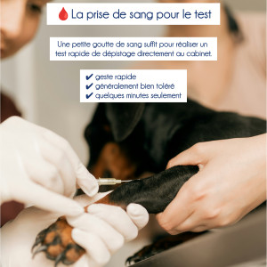🐾 Leishmaniose : le test 🧪