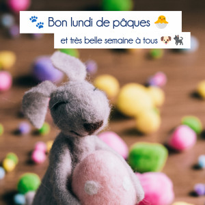 🐾 Lundi de Pâques 🐣