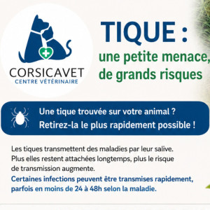 📌 Retirer une tique