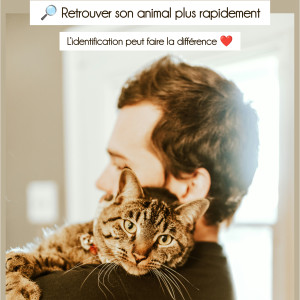 🩺 L'identification des Carnivores Domestiques 🐾