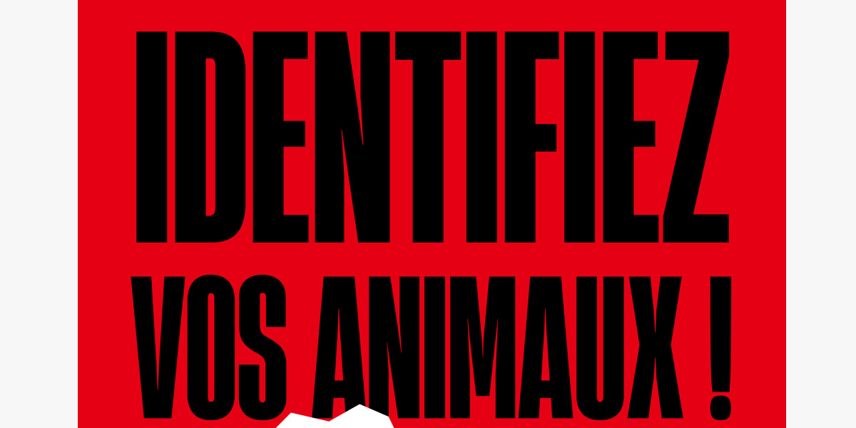 I-CAD 📝 Semaine Nationale de l'identification