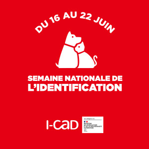 I-CAD 📝 Semaine Nationale de l'identification