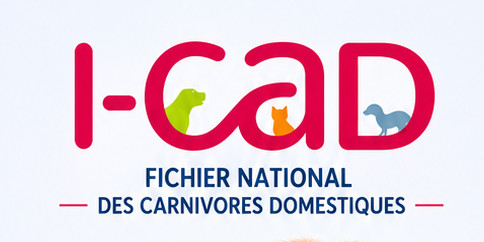 🩺 I-CAD 🗂️🐾