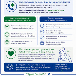 🩺 Continuité de soins  🏥 🐕🐈‍⬛