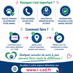 🏖️ Vous partez en vacances avec votre animal ❓