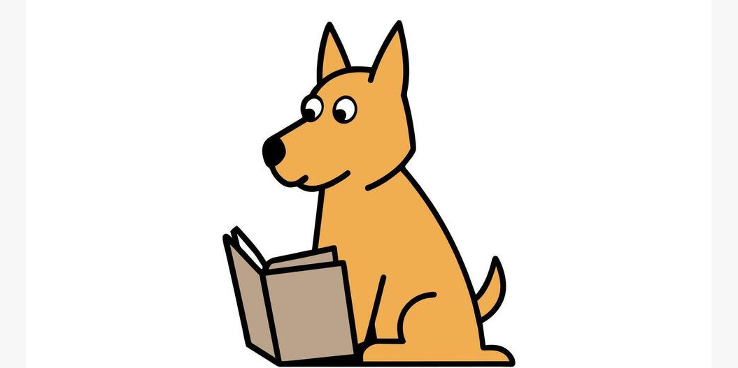 Quelques exercices pour l'éducation de votre chien