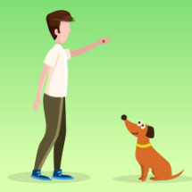 Quelques exercices pour l'éducation de votre chien
