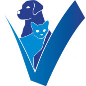 Quelles différences entre une clinique et un cabinet vétérinaire ?