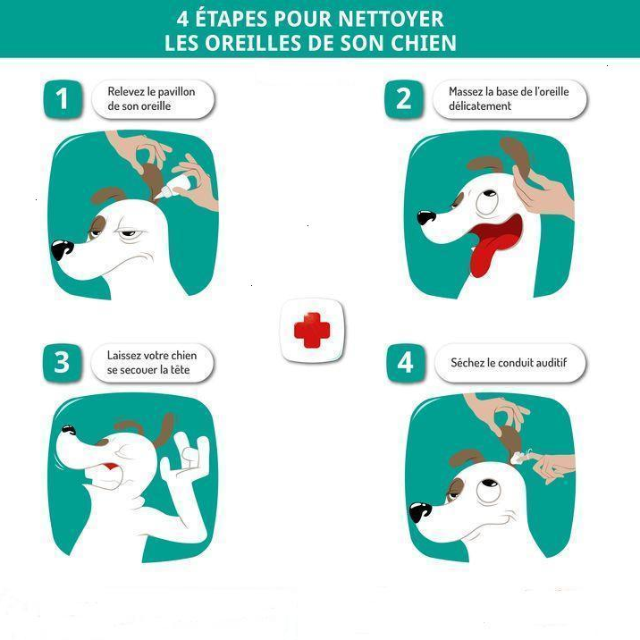 Comment nettoyer les oreilles de votre chien ou de votre chat