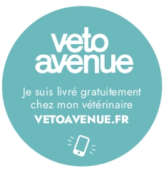 Notre boutique